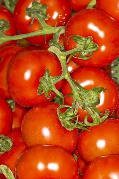 Leckere Tomaten Aus Nächster Nähe — Stockfoto