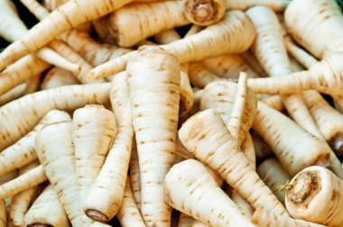 yığın ham maydanoz kökleri, yakın çekim 