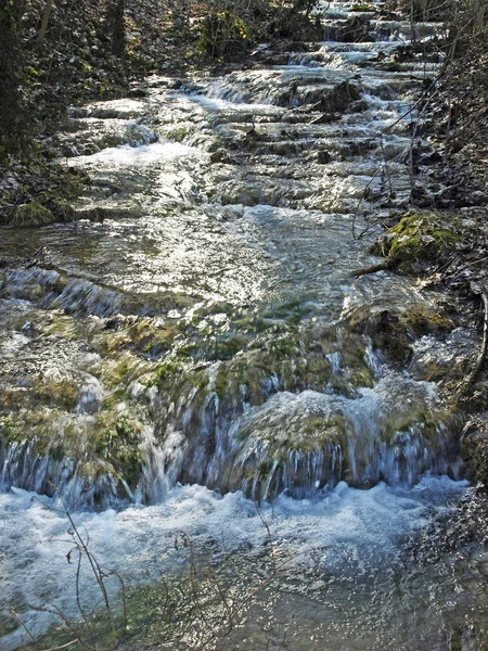 Scenery Photo Amazing Rhine Waterfall — Stock Photo, Image