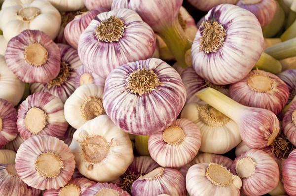 Fresh Red Garlics Close Shot — Stock Photo, Image