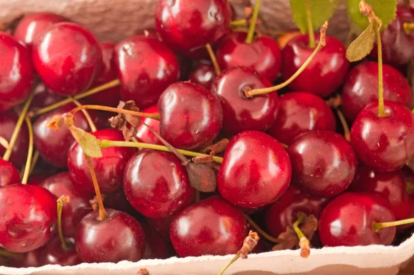 Haufen Frischer Reifer Kirschen Nahaufnahme — Stockfoto