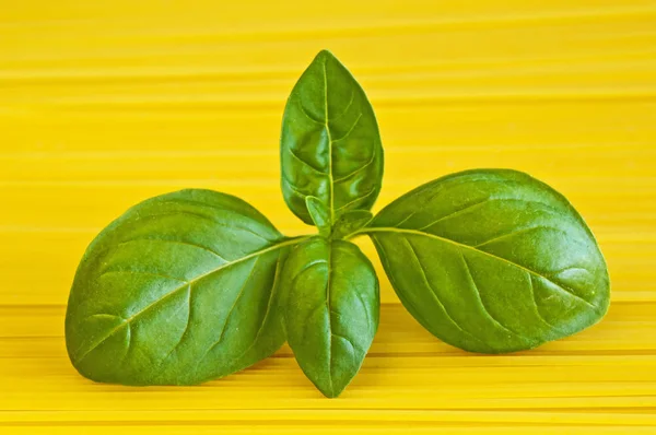 Primer Plano Espaguetis Crudos Hechos Casa Con Hojas Albahaca Fresca — Foto de Stock