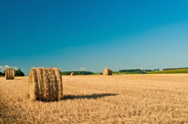 Bale Straw Panoramic View — Stock Photo, Image