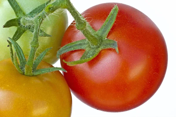 Nahaufnahme Von Frischen Roten Bio Tomaten — Stockfoto