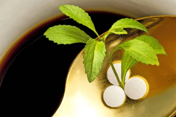 Stevia Rebaudiana Suporte Para Açúcar Comprimidos — Fotografia de Stock