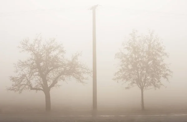 秋天的雾降 自然概念 — 图库照片