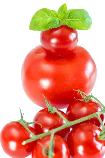 Tomaten Auf Grünen Zweigen — Stockfoto