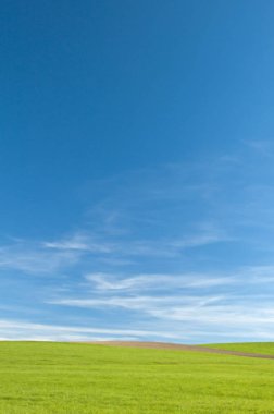 Bahar çayır yakın atış