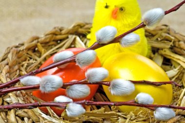 boyalı yumurta, kedicik ve Pasific Paskalya sepeti