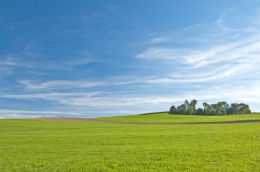 yeşil çim ve ağaçların güneşli gün ile küçük tepeler 