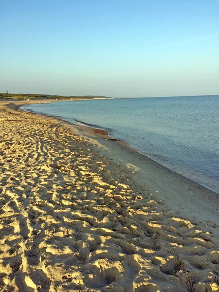 Areia Praia Mar Báltico Com Fundo Azul Céu — Fotografia de Stock