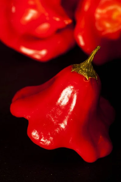 Közeli Kép Csípős Piros Chili Paprika Fekete Háttér — Stock Fotó