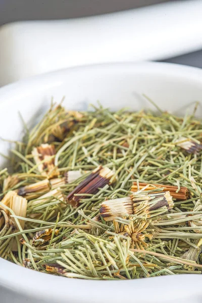 Gros Plan Prêle Séchée Equisetum Arvense Plante Médicinale — Photo