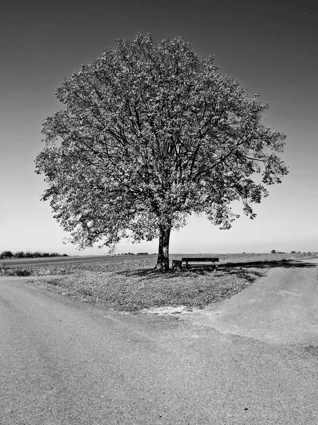 Panorama Paysager Naturel Incroyable — Photo