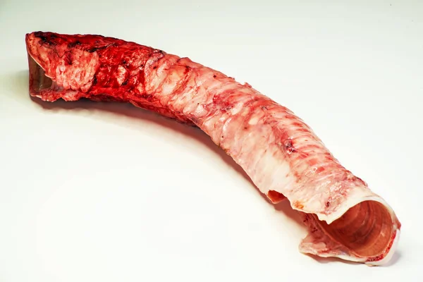 牛の喉 Barf のドッグフード — ストック写真