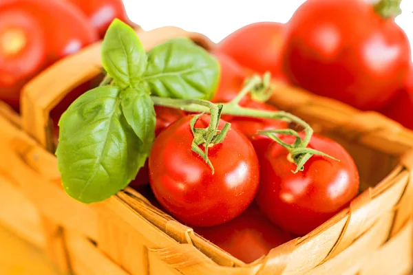 Vine Tomatoes In A Basket close up