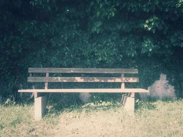 Houten Bankje Tuin Aan Zonnige Dag — Stockfoto