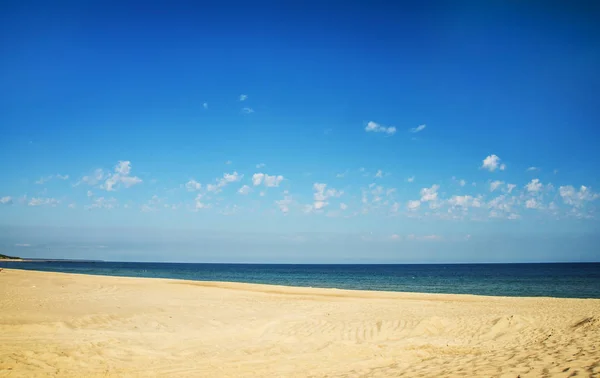 Areia Praia Mar Báltico Com Fundo Azul Céu — Fotografia de Stock