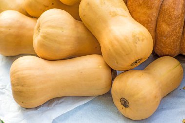 Butternut Squash yakın çekim fotoğraf