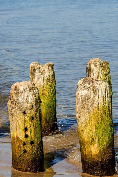 バルト海の脚の付け根をクローズ アップ ショット — ストック写真