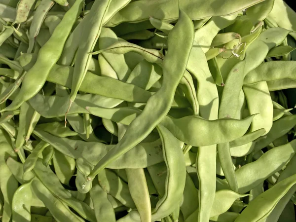 Fagioli Verdi Primo Piano Colpo — Foto Stock