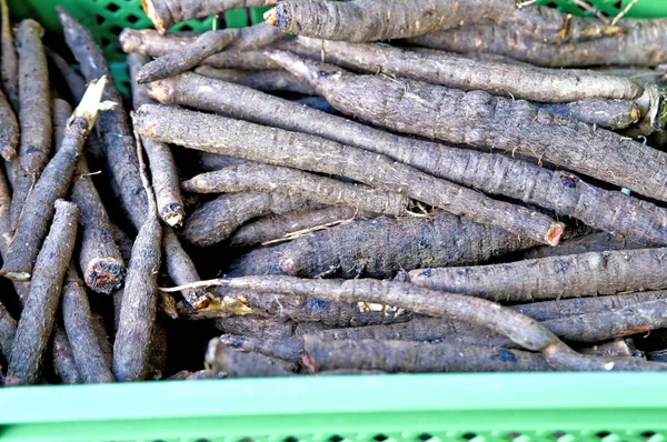 Fekete Kagyló Növény Régi Elfelejtett Zöldségek — Stock Fotó