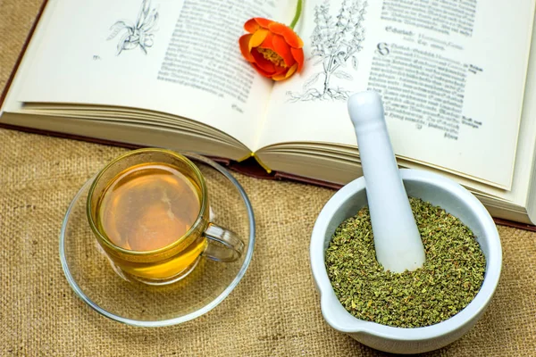 Rockrose Τσάι Μεσαιωνική Εγχειρίδιο — Φωτογραφία Αρχείου