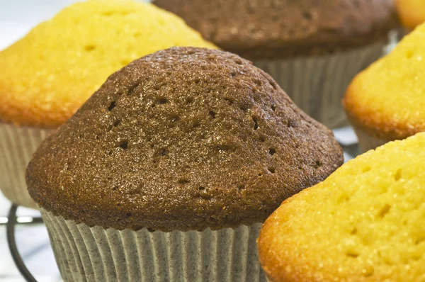 Chutné Muffiny Zblízka Střílel — Stock fotografie