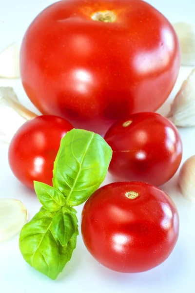 Tomates Saborosos Close Tiro — Fotografia de Stock