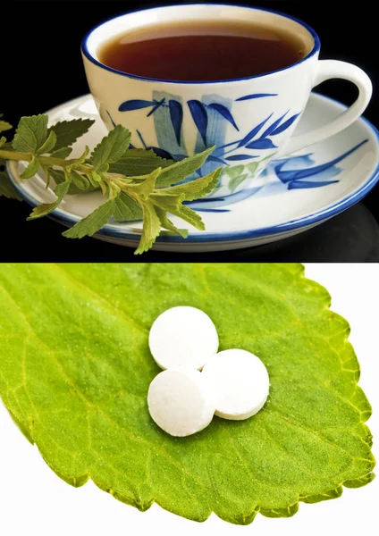 Stevia Rebaudiana Ondersteuning Voor Suiker Tabletten — Stockfoto