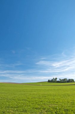 yeşil çim ve ağaçların güneşli gün ile küçük tepeler 