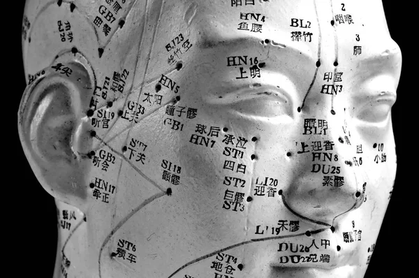 Acupuncture Tête Modèle Plan Rapproché — Photo