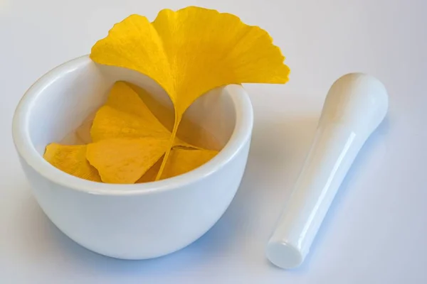 Close Van Verse Ginkgo Biloba Verlaat Achtergrond — Stockfoto