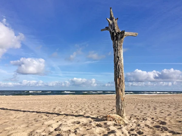 Zandstrand Strand Van Oostzee Met Blauwe Hemelachtergrond — Stockfoto