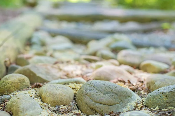 Nahaufnahme Von Steinen Barfußpfad Für Die Freiheit Grünen Wald Freien — Stockfoto