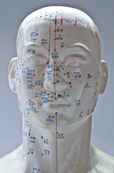 Acupuncture Head Model Close Shot — Stock Photo, Image