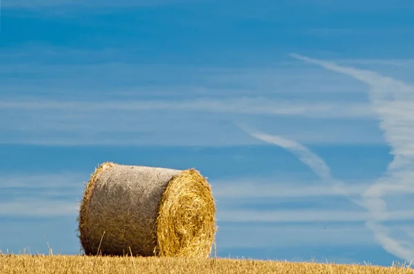 Bale Straw Blue Sky — Stock Photo, Image