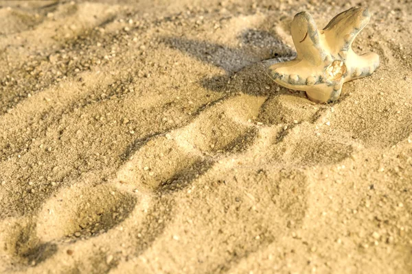 สตาร ชายหาด — ภาพถ่ายสต็อก
