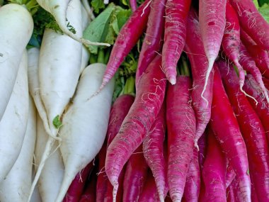 Taze hasat turp ve arka plan üzerinde