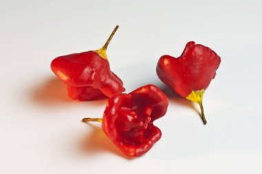 Piskopos tacı Chili peppers