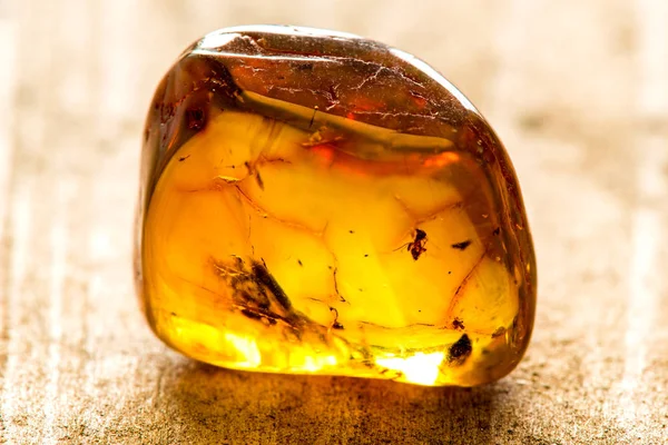 Amber Med Inbäddade Insekter — Stockfoto