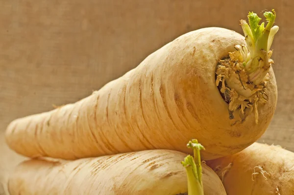 Close Foto Parsnip Old Forgotten Vegetable — Fotografia de Stock