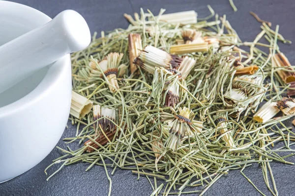 Gros Plan Prêle Séchée Equisetum Arvense Plante Médicinale — Photo