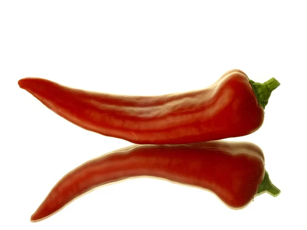 Close Pimenta Vermelha Picante Isolado Fundo Branco — Fotografia de Stock