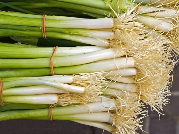 Organic Spring Onions Close Shot — Stock Photo, Image