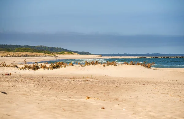 Песчаный Пляж Балтийского Моря Фоне Голубого Неба — стоковое фото