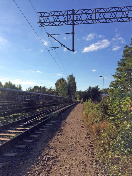 Foto Ferrovia Floresta Verde Tempo Ensolarado — Fotografia de Stock