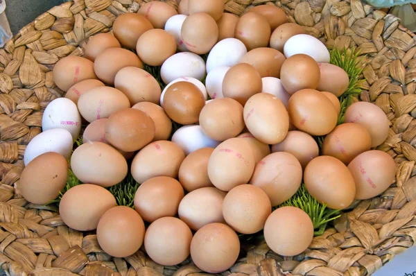 Gros Plan Sur Eggs — Photo