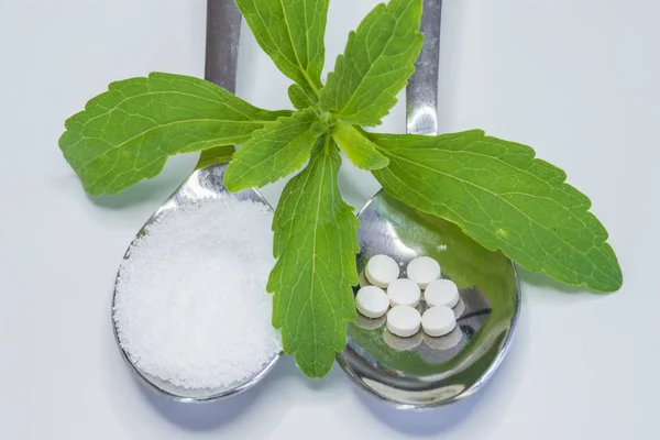 Stevia Rebaudiana Unterstützung Für Zucker Tabletten Und Pulver — Stockfoto