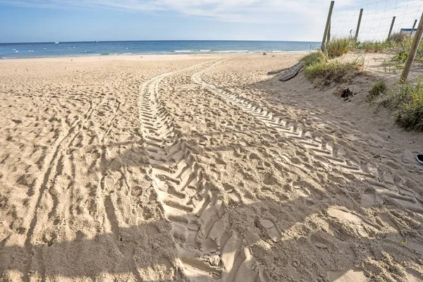 Beach Baltic Sea Car Tracks — Stock Photo, Image